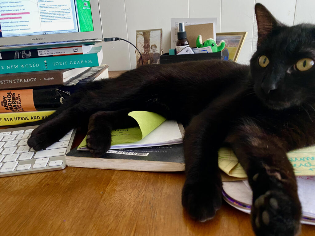 image shows a black cat lounging on a stack of papers and a laptop keyboard