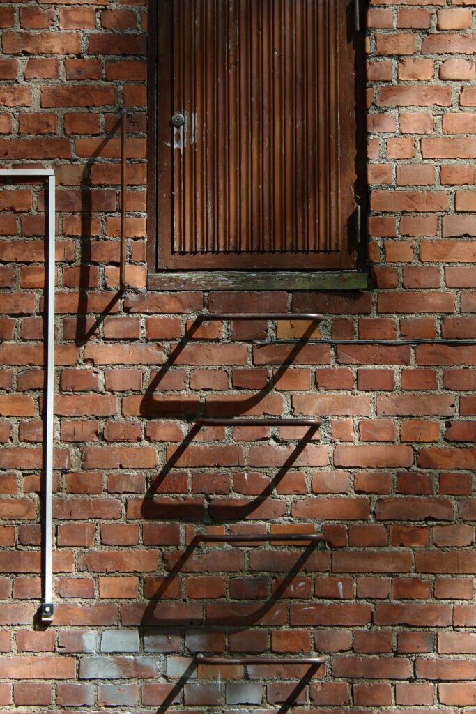 A brick wall with a metal-rung ladder leading up to a wood door in the wall.