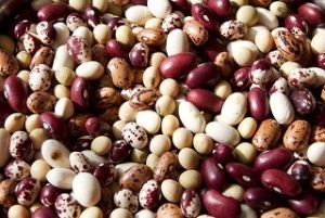 Collection of multicolored beans